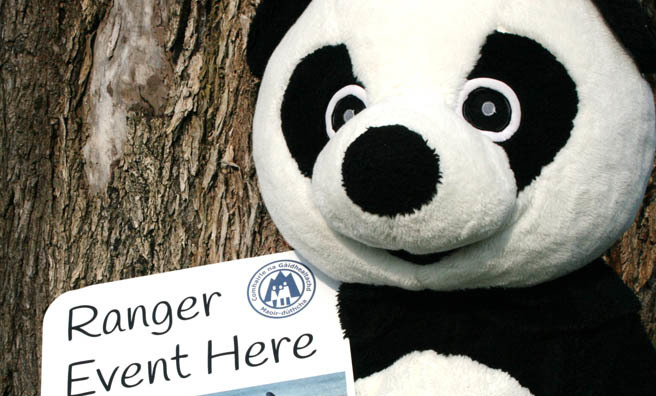 Get involved with WWF's Earth Hour with the Highland Council Rangers. Image: Highland Council