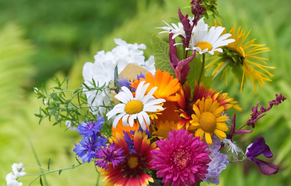 Our own garden flowers make the most beautiful displays. Pic: Shutterstock
