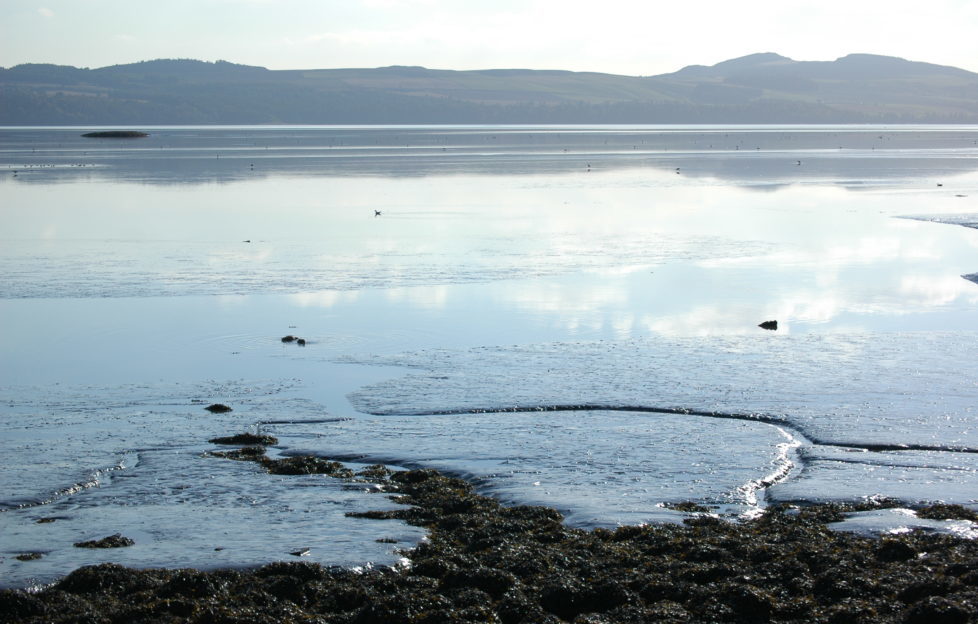 Calm as a mill pond - the Tay estuary has a life of its own.