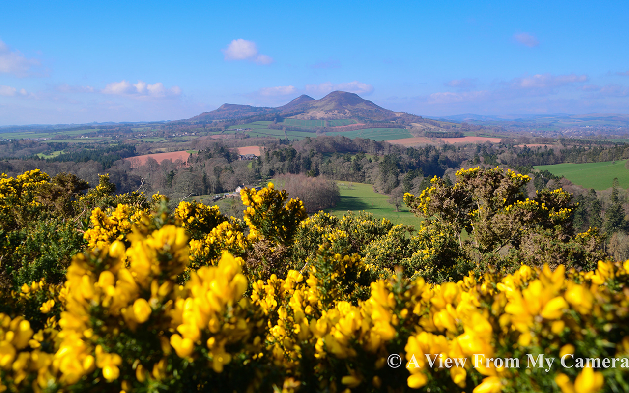 "Eildon Hills from Scott's Viewpoint in Scottish Borders. And what a stunning view it is too!" A View From My Camera, @viewcamera on Facebook.